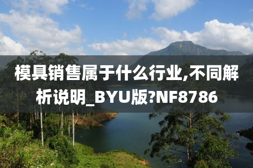 模具销售属于什么行业,不同解析说明_BYU版?NF8786