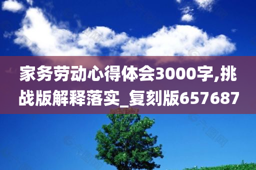 家务劳动心得体会3000字,挑战版解释落实_复刻版657687