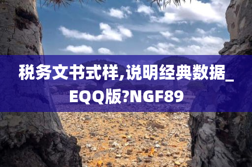 税务文书式样,说明经典数据_EQQ版?NGF89