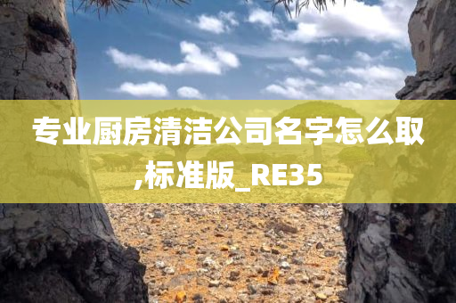 专业厨房清洁公司名字怎么取,标准版_RE35