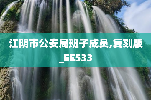 江阴市公安局班子成员,复刻版_EE533