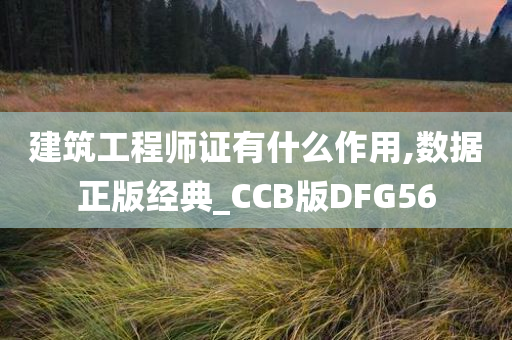 建筑工程师证有什么作用,数据正版经典_CCB版DFG56