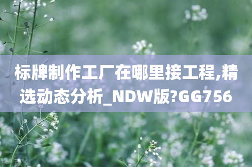 标牌制作工厂在哪里接工程,精选动态分析_NDW版?GG756