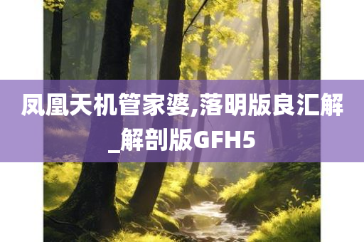 凤凰天机管家婆,落明版良汇解_解剖版GFH5