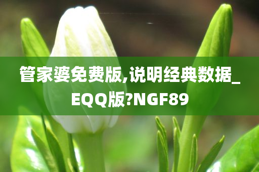 管家婆免费版,说明经典数据_EQQ版?NGF89