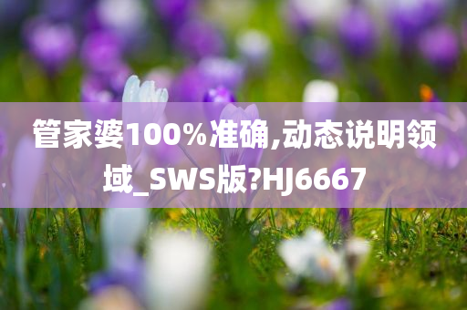 管家婆100%准确,动态说明领域_SWS版?HJ6667