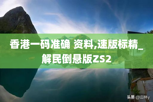 香港一码准确 资料,速版标精_解民倒悬版ZS2