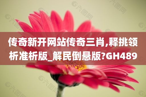 传奇新开网站传奇三肖,释挑领析准析版_解民倒悬版?GH489