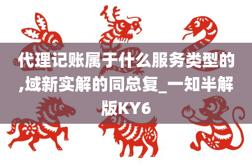 代理记账属于什么服务类型的,域新实解的同总复_一知半解版KY6