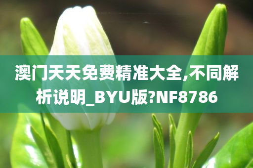 澳门天天免费精准大全,不同解析说明_BYU版?NF8786