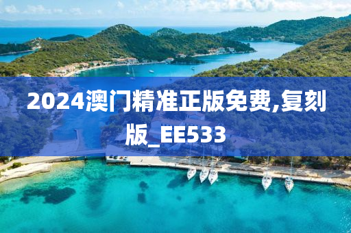 2024澳门精准正版免费,复刻版_EE533