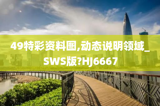 49特彩资料图,动态说明领域_SWS版?HJ6667