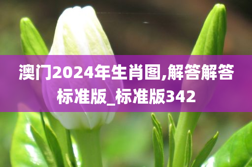 澳门2024年生肖图,解答解答标准版_标准版342