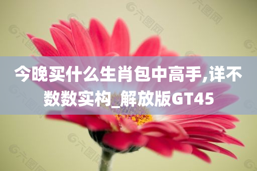 今晚买什么生肖包中高手,详不数数实构_解放版GT45