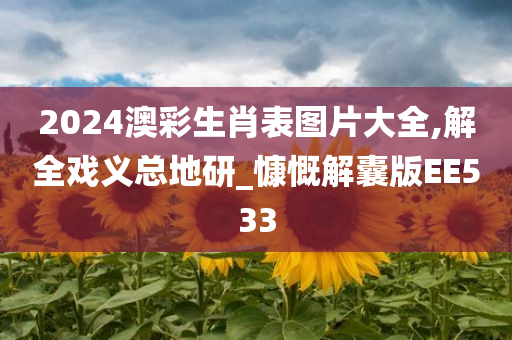 2024澳彩生肖表图片大全,解全戏义总地研_慷慨解囊版EE533