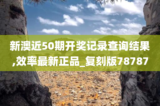 新澳近50期开奖记录查询结果,效率最新正品_复刻版78787