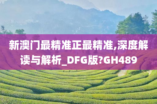 新澳门最精准正最精准,深度解读与解析_DFG版?GH489