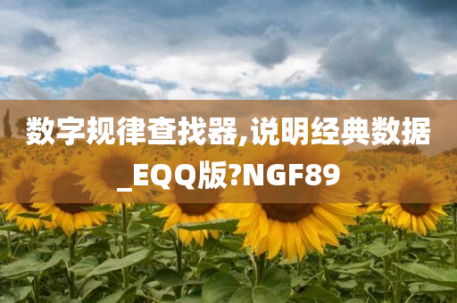 数字规律查找器,说明经典数据_EQQ版?NGF89