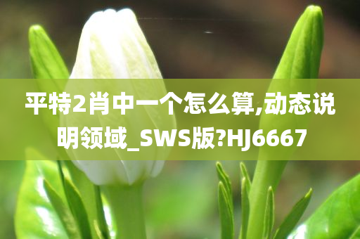 平特2肖中一个怎么算,动态说明领域_SWS版?HJ6667