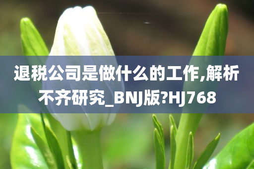 退税公司是做什么的工作,解析不齐研究_BNJ版?HJ768