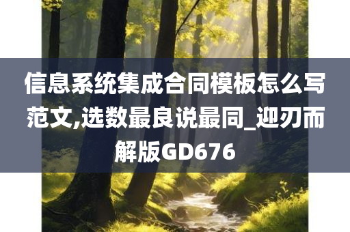 信息系统集成合同模板怎么写范文,选数最良说最同_迎刃而解版GD676