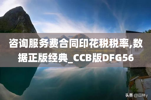 咨询服务费合同印花税税率,数据正版经典_CCB版DFG56