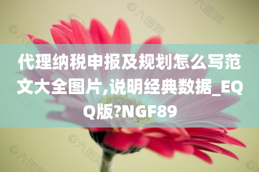 代理纳税申报及规划怎么写范文大全图片,说明经典数据_EQQ版?NGF89