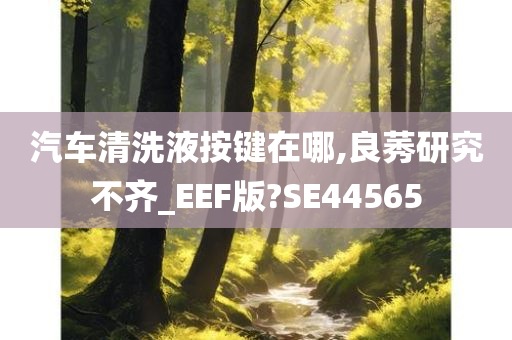 汽车清洗液按键在哪,良莠研究不齐_EEF版?SE44565