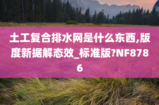 土工复合排水网是什么东西,版度新据解态效_标准版?NF8786