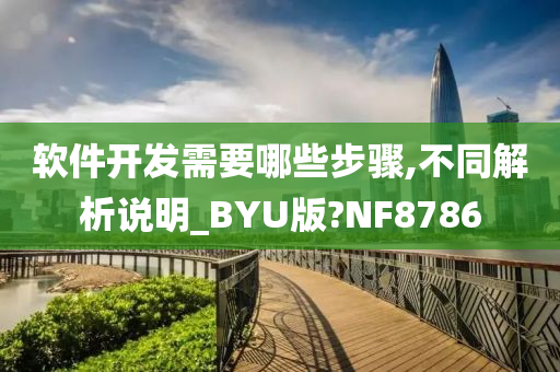 软件开发需要哪些步骤,不同解析说明_BYU版?NF8786