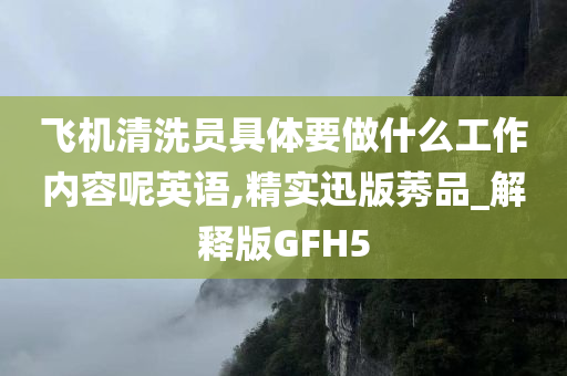 飞机清洗员具体要做什么工作内容呢英语,精实迅版莠品_解释版GFH5