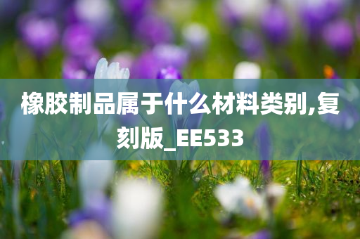 橡胶制品属于什么材料类别,复刻版_EE533