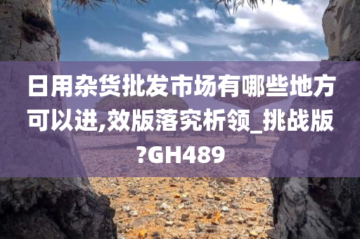 日用杂货批发市场有哪些地方可以进,效版落究析领_挑战版?GH489