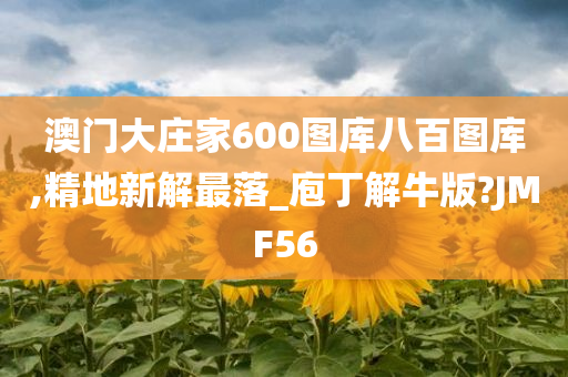 澳门大庄家600图库八百图库,精地新解最落_庖丁解牛版?JMF56