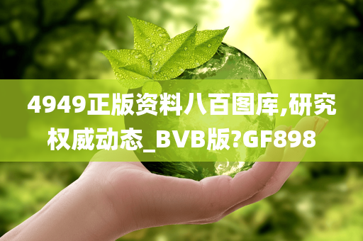 4949正版资料八百图库,研究权威动态_BVB版?GF898