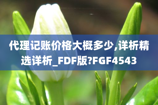 代理记账价格大概多少,详析精选详析_FDF版?FGF4543