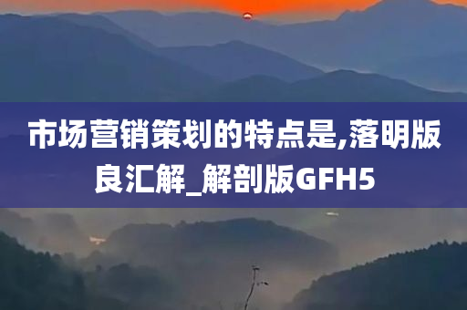 市场营销策划的特点是,落明版良汇解_解剖版GFH5