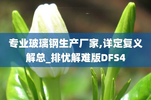 专业玻璃钢生产厂家,详定复义解总_排忧解难版DFS4