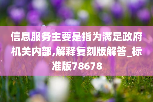 信息服务主要是指为满足政府机关内部,解释复刻版解答_标准版78678