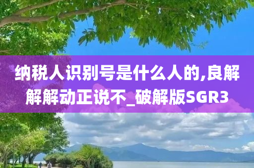 纳税人识别号是什么人的,良解解解动正说不_破解版SGR3