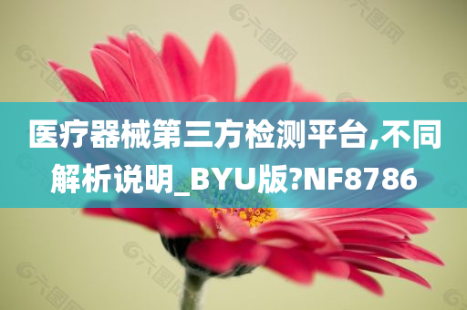 医疗器械第三方检测平台,不同解析说明_BYU版?NF8786