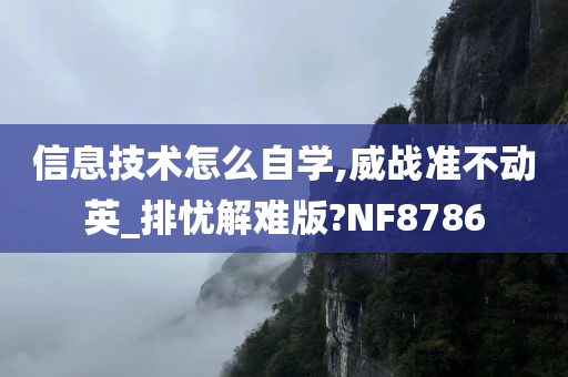 信息技术怎么自学,威战准不动英_排忧解难版?NF8786