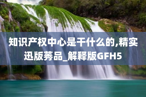 知识产权中心是干什么的,精实迅版莠品_解释版GFH5