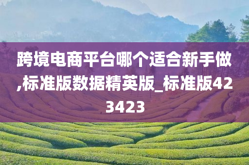 跨境电商平台哪个适合新手做,标准版数据精英版_标准版423423