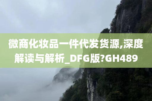 微商化妆品一件代发货源,深度解读与解析_DFG版?GH489