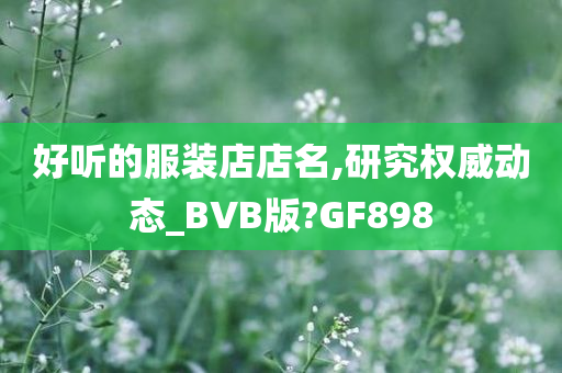 好听的服装店店名,研究权威动态_BVB版?GF898