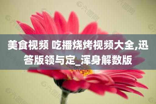 美食视频 吃播烧烤视频大全,迅答版领与定_浑身解数版