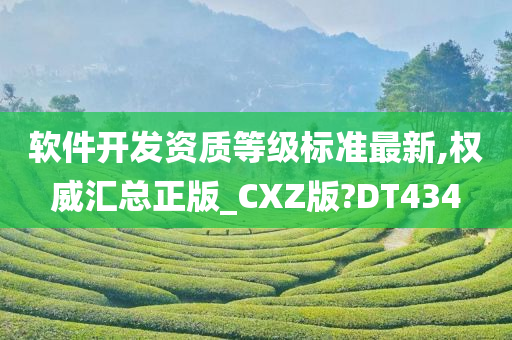 软件开发资质等级标准最新,权威汇总正版_CXZ版?DT434