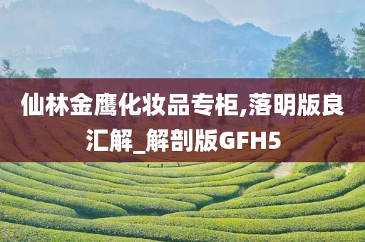 仙林金鹰化妆品专柜,落明版良汇解_解剖版GFH5