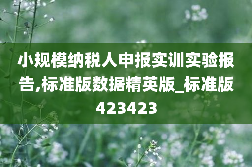 小规模纳税人申报实训实验报告,标准版数据精英版_标准版423423